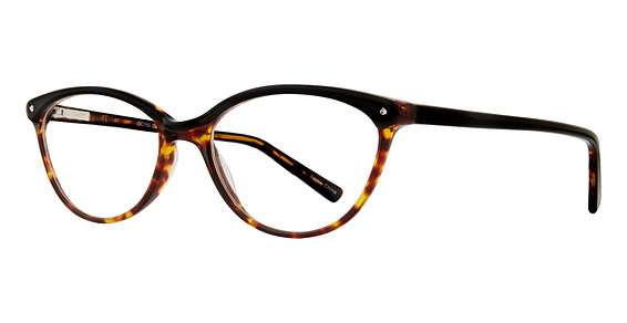 Black Tortoise