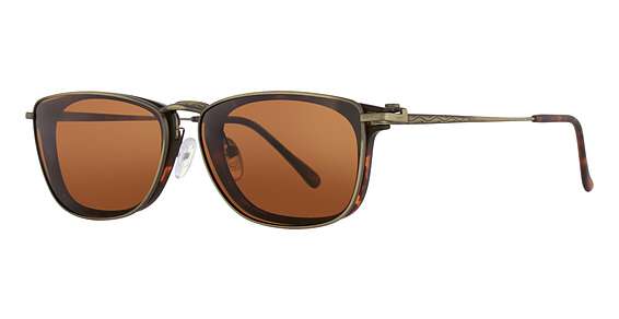 TORTOISE/ANTIQUE GOLD (C2)