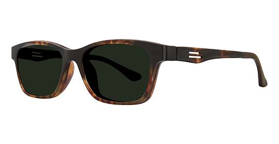 Dark Tortoise / G-15 Lens (C1 / POLARIZED)