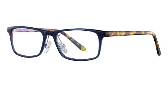 Blue/Tortoise (C4)