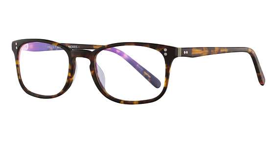 Tortoiseshell (C3)