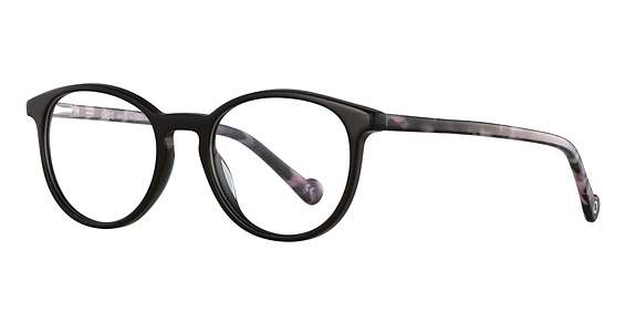 Black/Tortoise (C4)