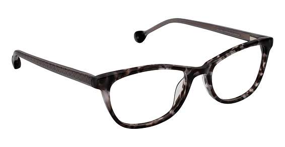 Licorice/Tortoise (C2)