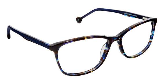 NAVY TORTOISE (C2)