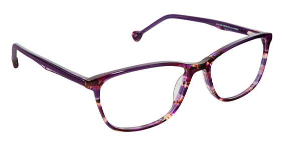 GRAPE TORTOISE (C3)