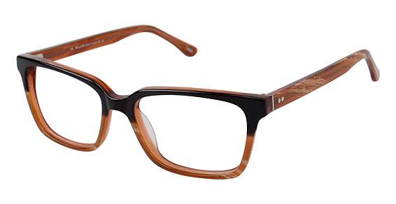 BROWN HORN (524)