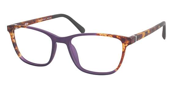 DARK PURPLE WITH TORT FADE (DPRT)