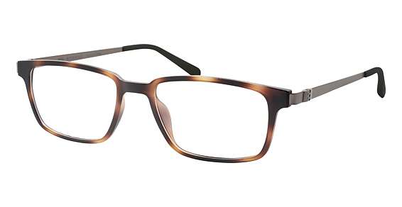 Dark Tort (DKTT)