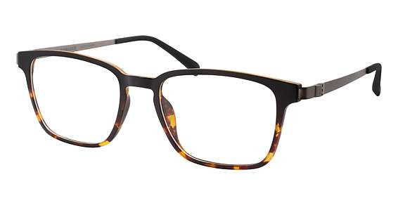 Black/Tort Gradient (BLKG)