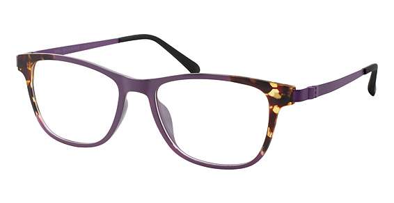 Dark Purple With Tort Fade (DPRT)