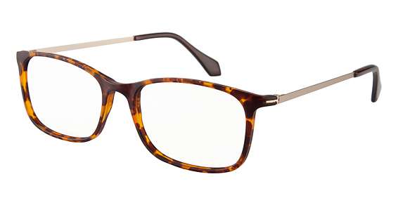 New Tortsat Gld Tpl