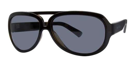 Voyager Polarized