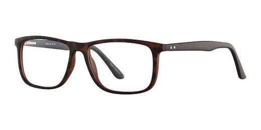 See N' Be Seen 65