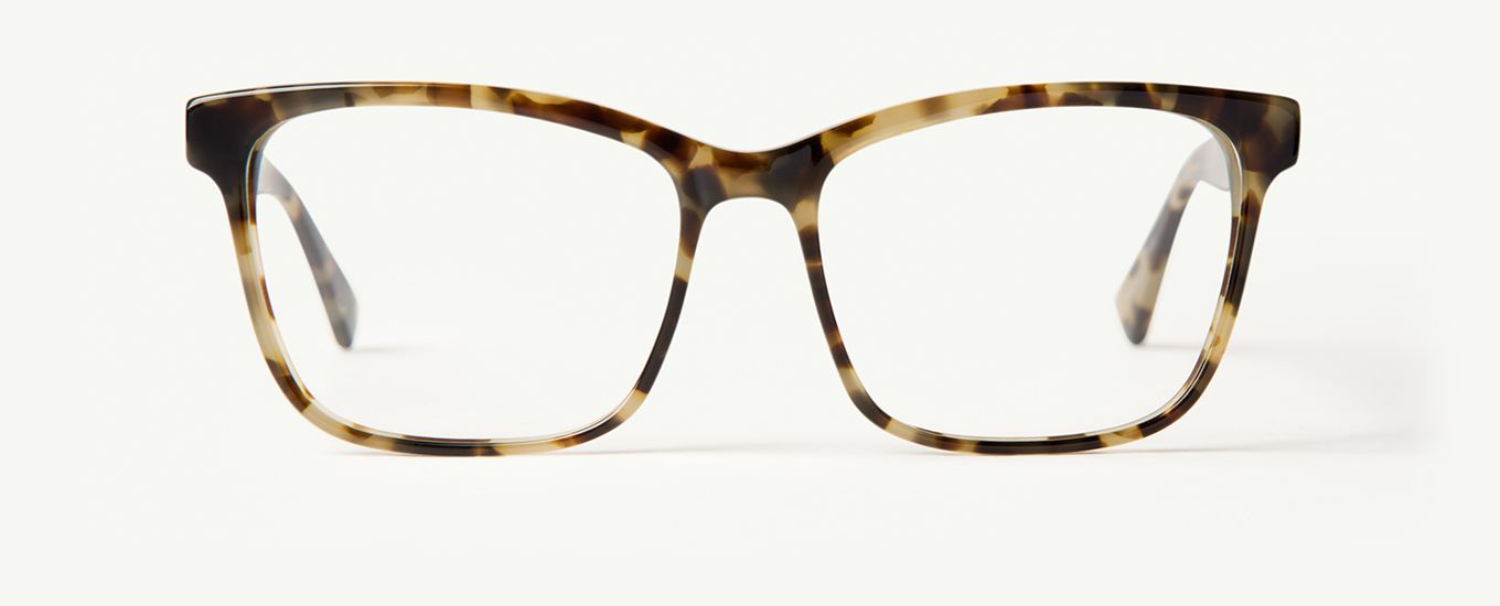 Abbey in Havana Tortoise - Classic Specs