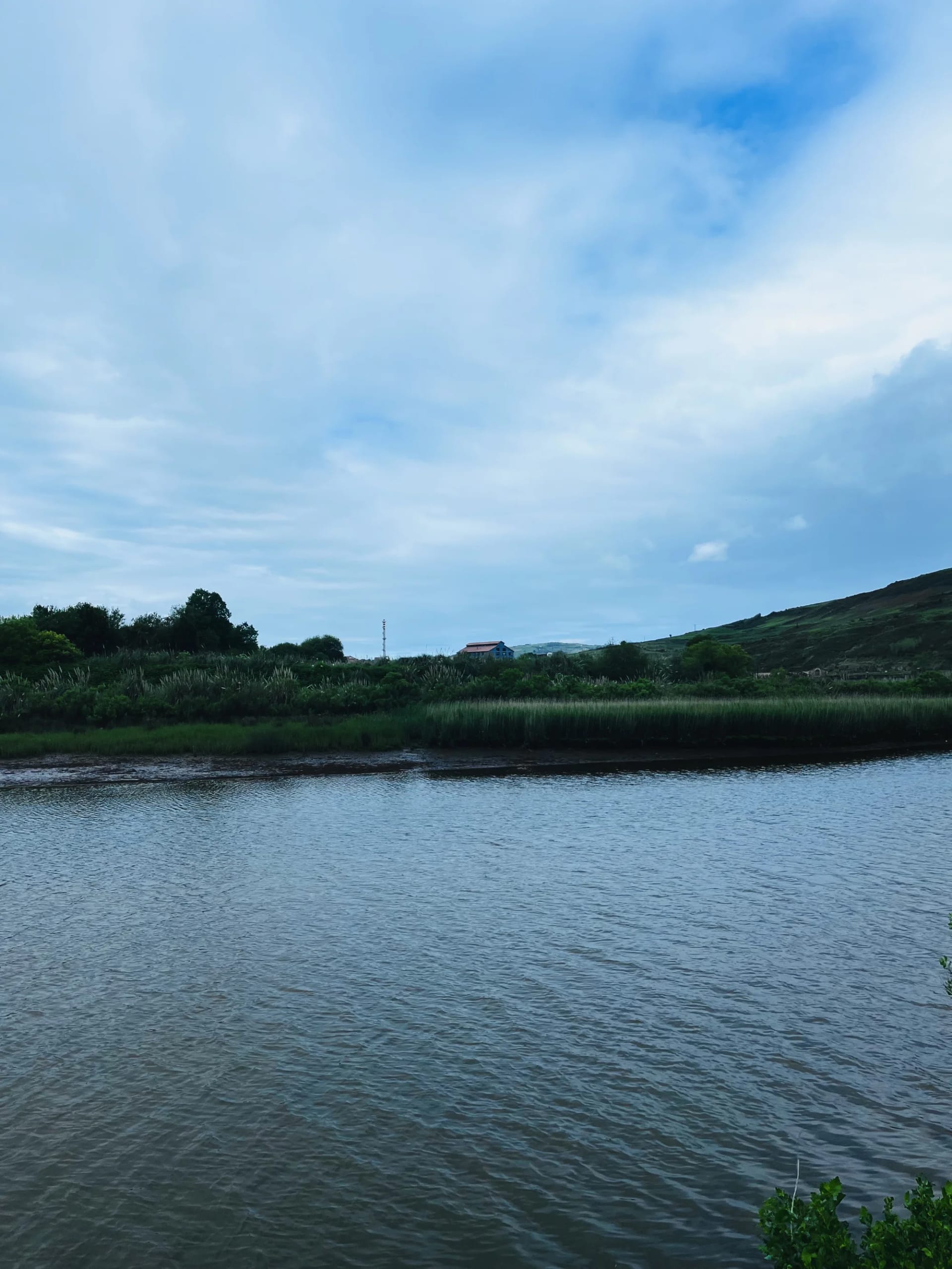 Un río que deja ver la Asturiana de Zinc al fondo Un río que deja ver la Asturiana de Zinc al fondo