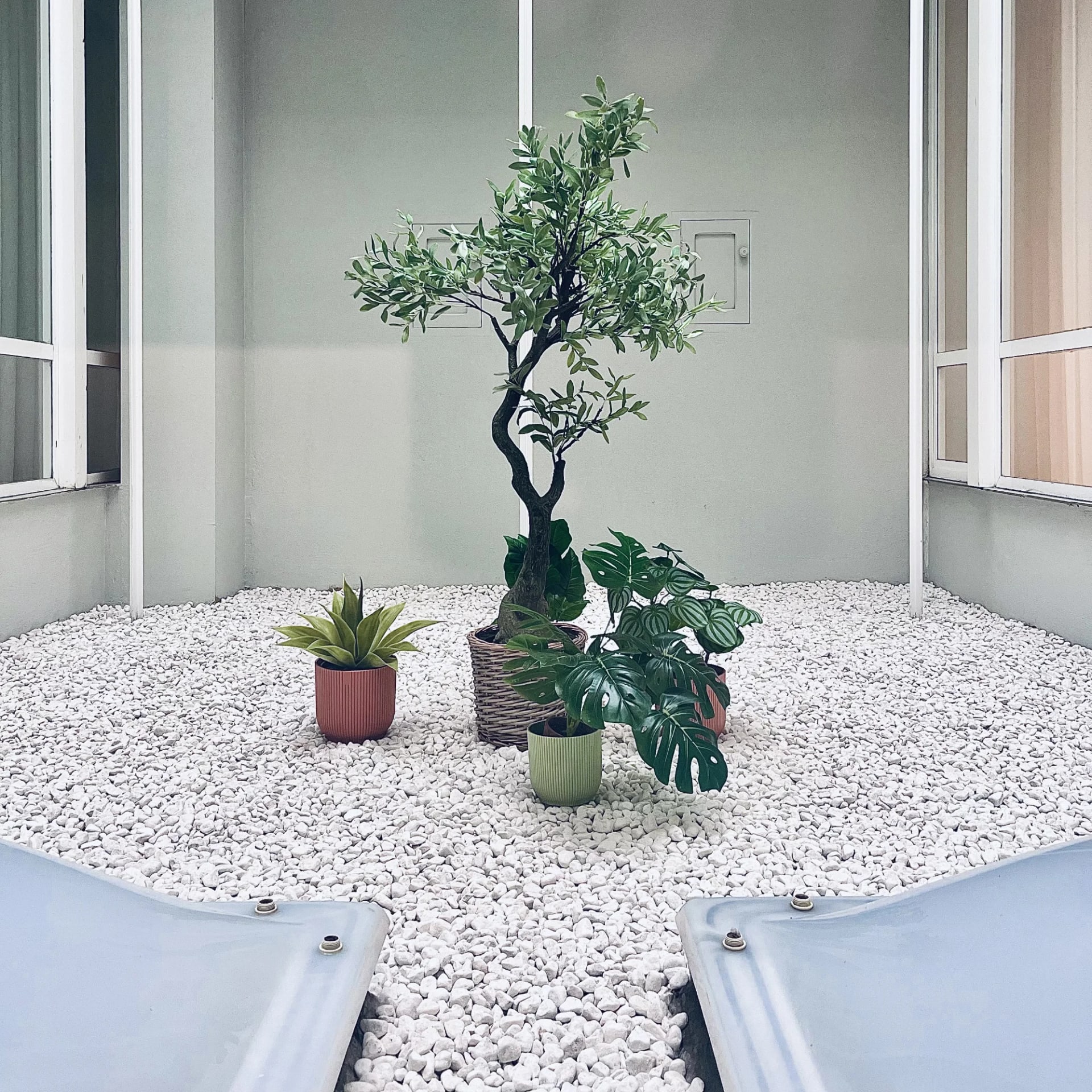 Una especie de jardín zen Una especie de jardín zen