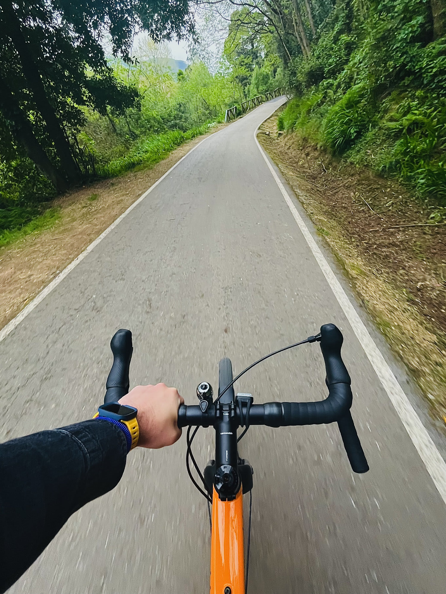 Una senda ciclable a su paso por Cartes.