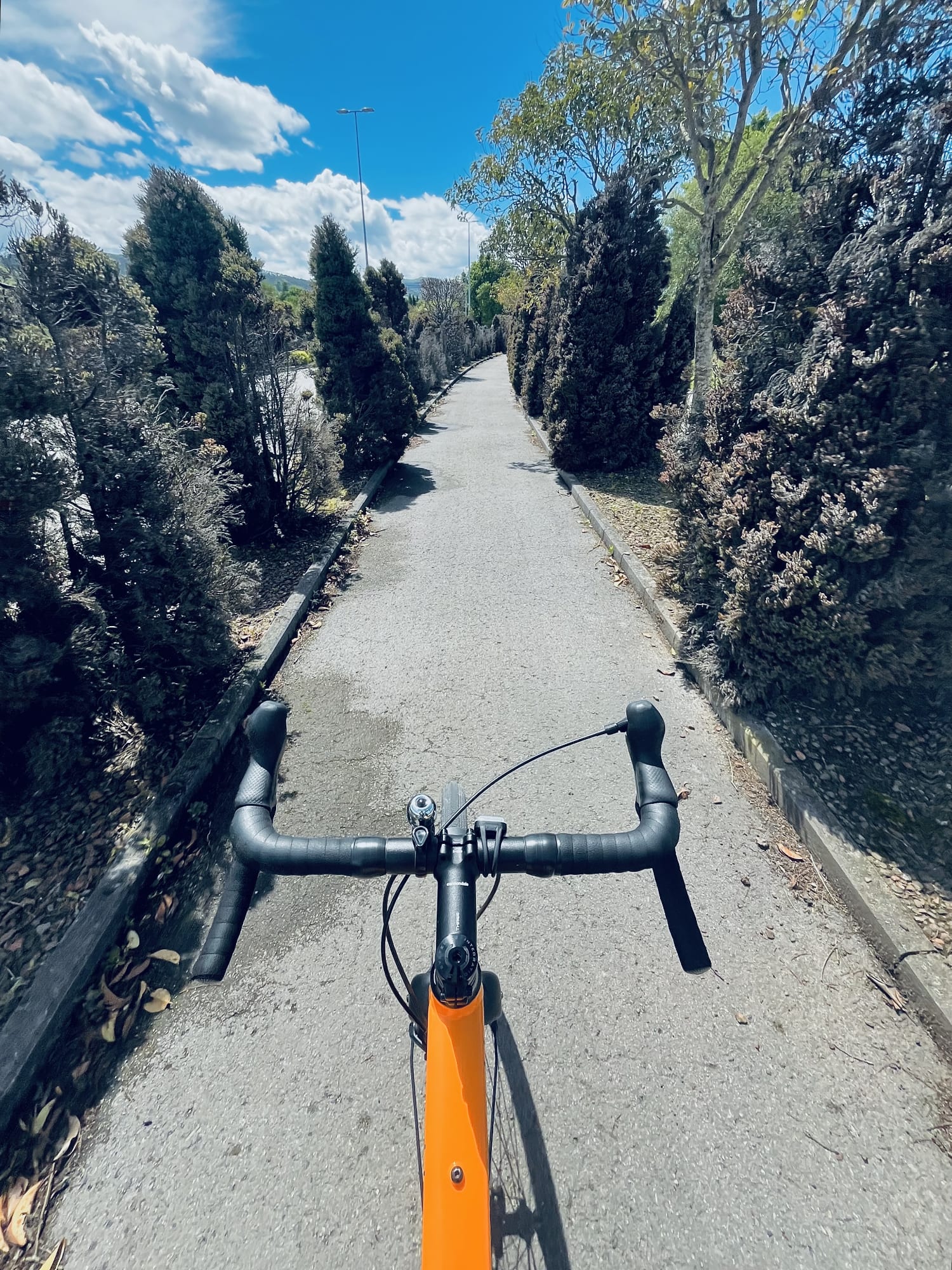 Un carril bici. Un carril bici.