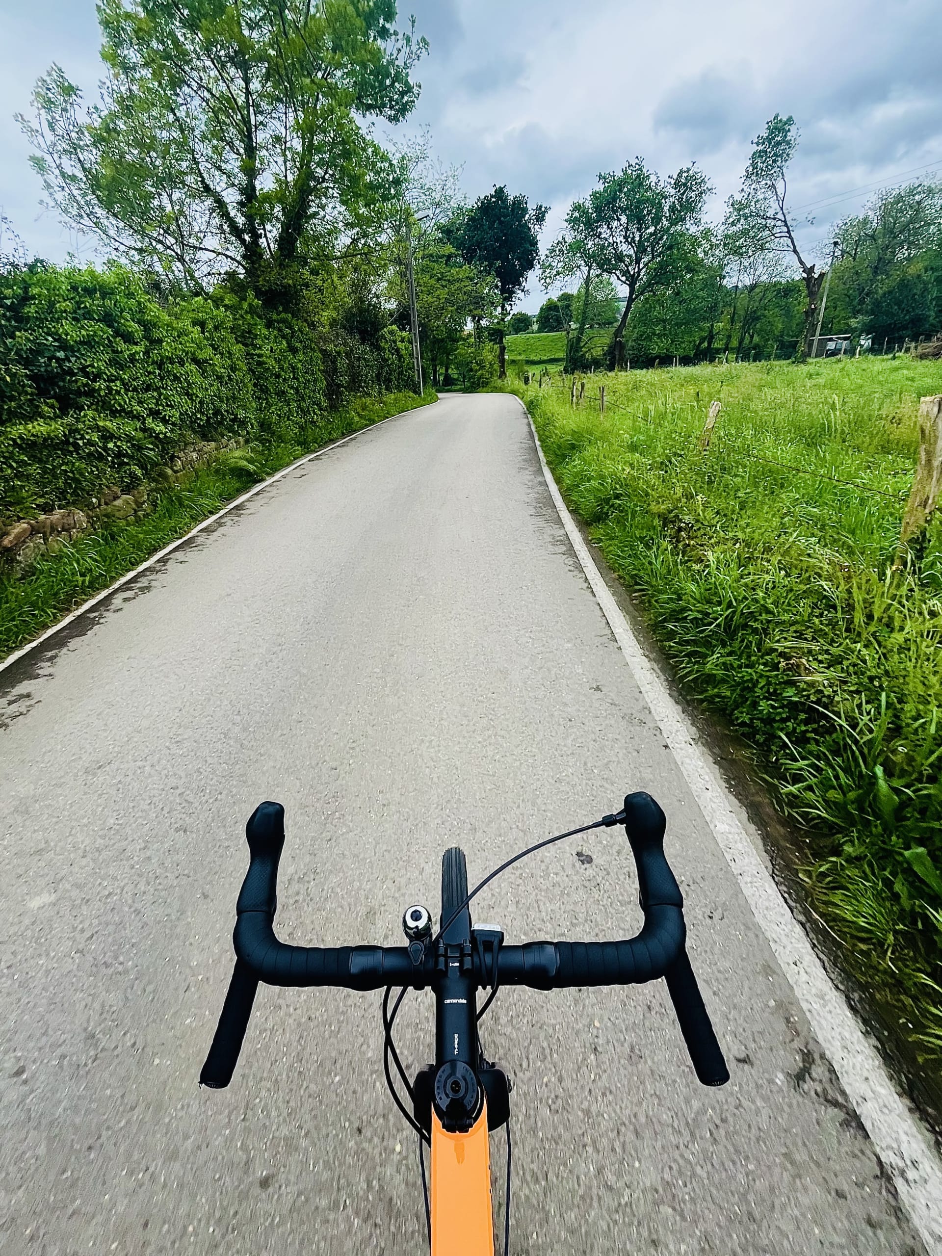 Una carretera secundaria. Hay verde a ambos lados. Una carretera secundaria. Hay verde a ambos lados.