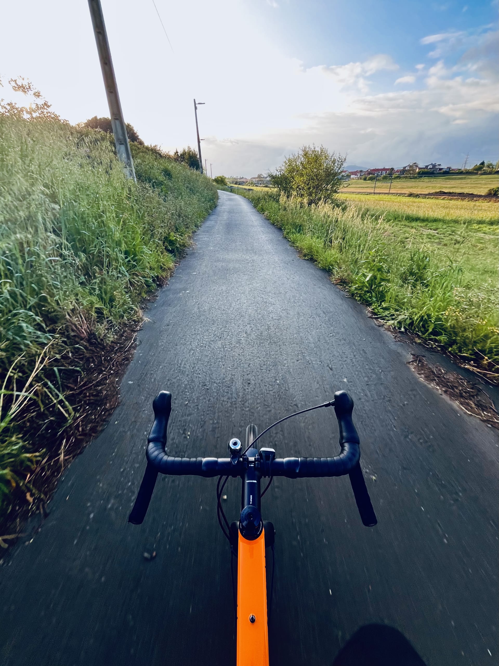 Una carretera secundaria. Hay mucho verde a ambos lados. Amanece.