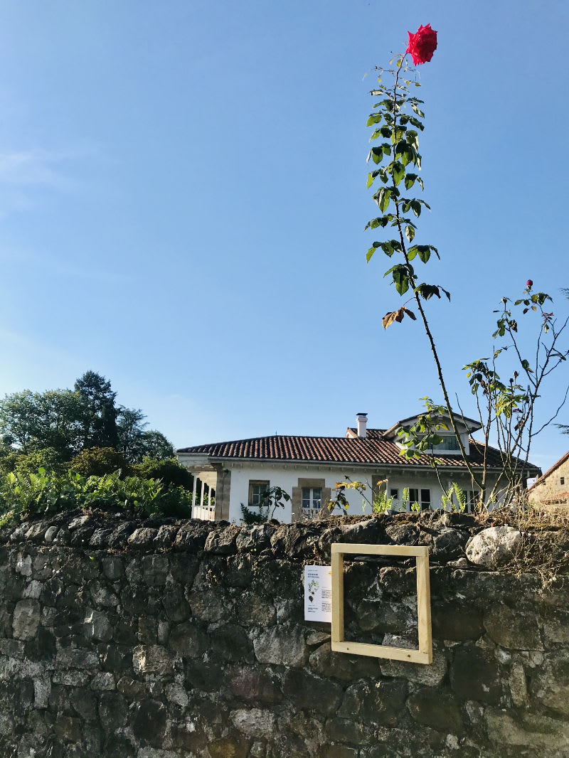 Fotografía hecha en 2020