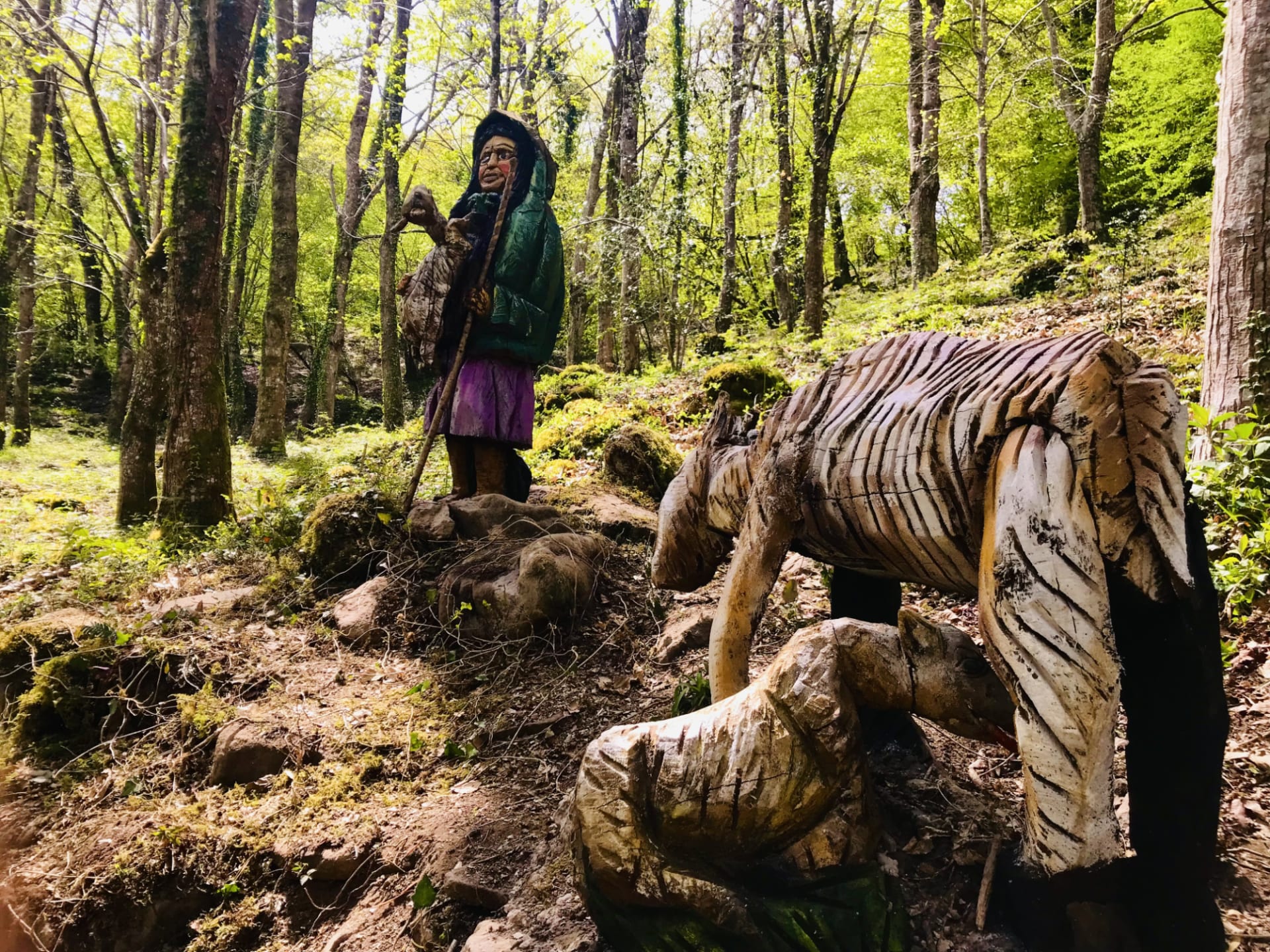 Visita al bosque de la mitología cántabra Visita al bosque de la mitología cántabra