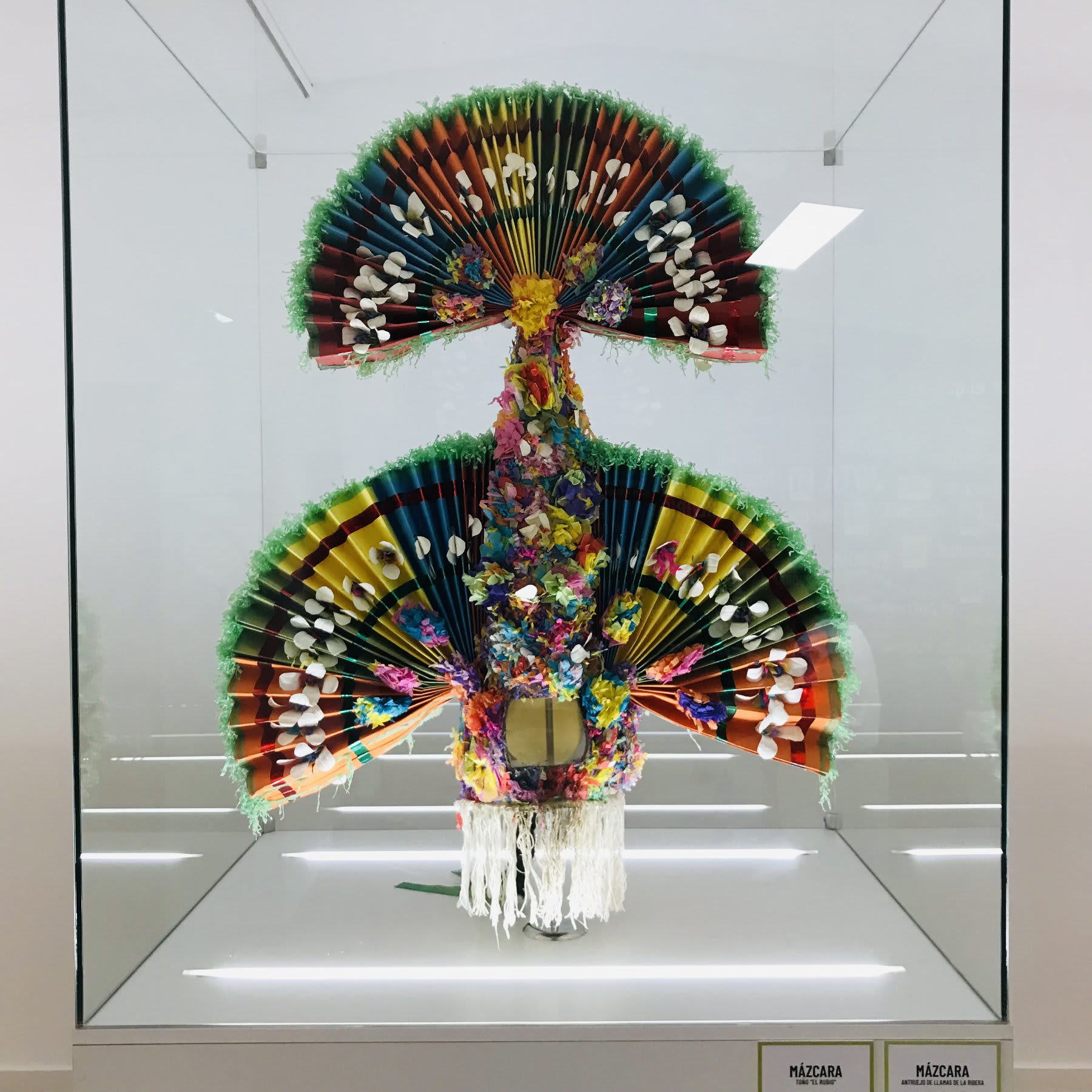 Una mázcara de Llamas de la Ribera