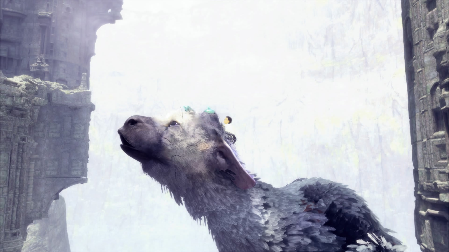 Last guardian: Trico, lamentándose