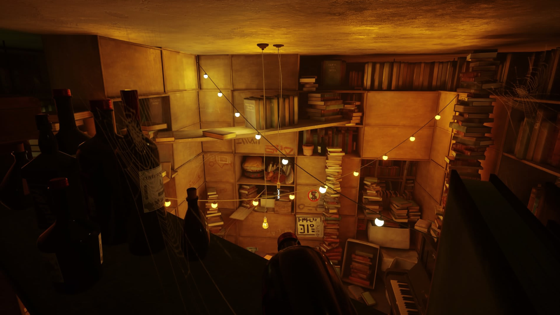 Stray: una biblioteca