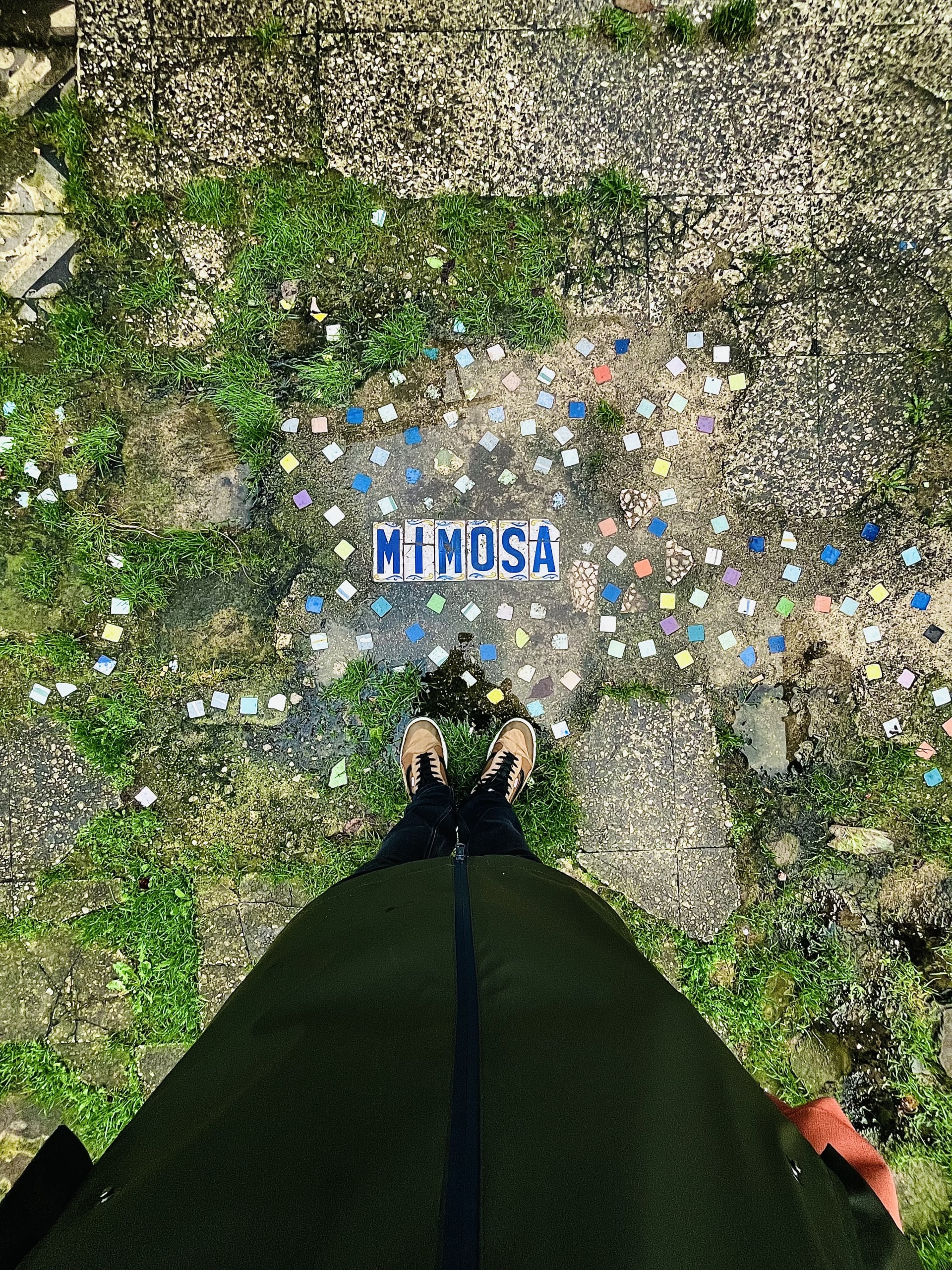 MIMOSA en Espacio Argumosa MIMOSA en Espacio Argumosa