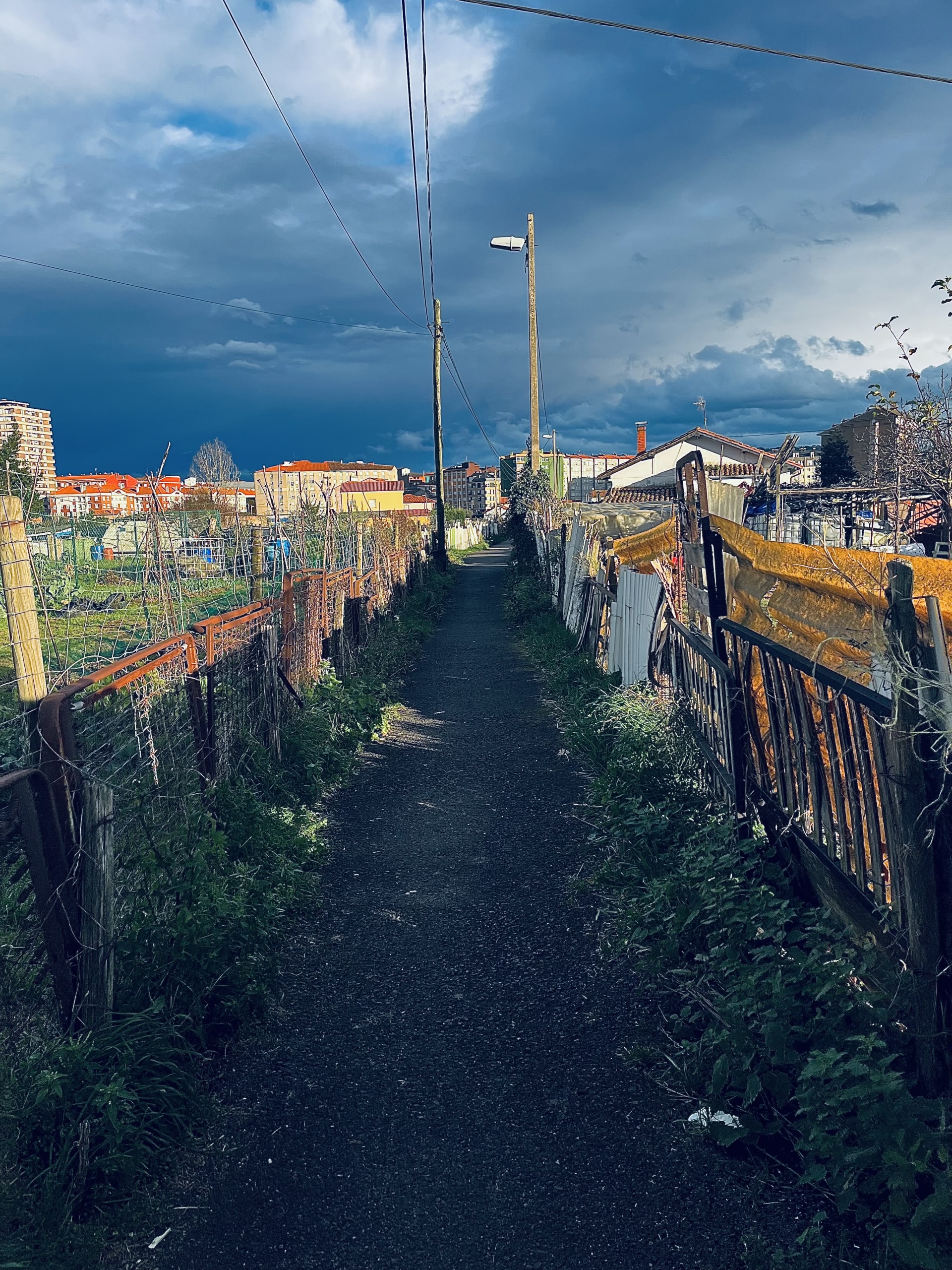 Una vista de un camino Una vista de un camino