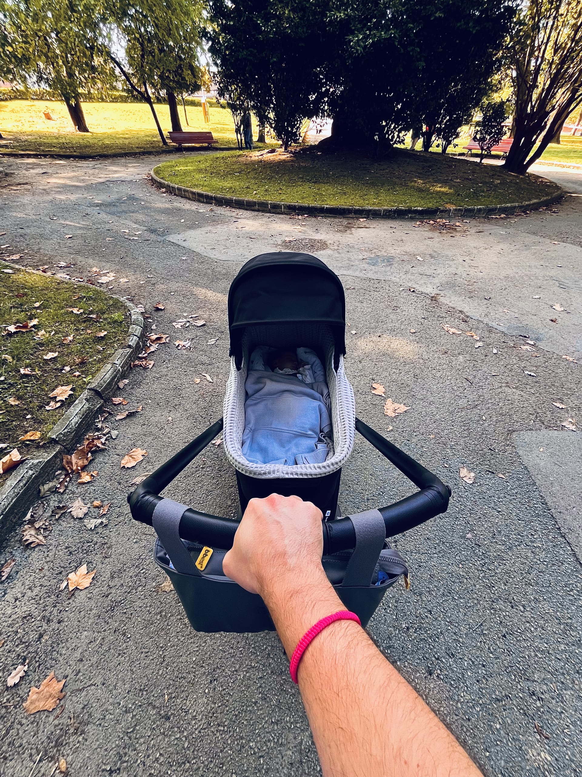 Otro paseo con Bosco