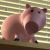 Tipster avatar