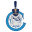 Citadel Bulldogs