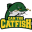 Can Tho Catfish