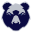 Bristol Bears