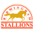 Birmingham Stallions