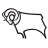 Derby County