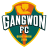 Gangwon FC