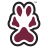 Southern Illinois Salukis