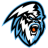 Winnipeg Ice