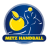 Metz Handball (w)