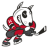 Niagara Icedogs