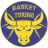 Basket Torino