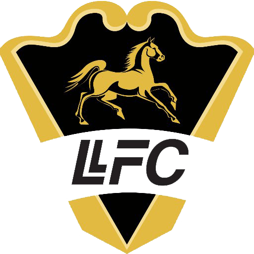 Llaneros FC