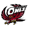 Temple Owls