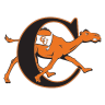 Campbell Fighting Camels