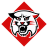 Davidson Wildcats
