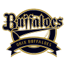 Orix Buffaloes