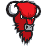 Bisons Loimaa